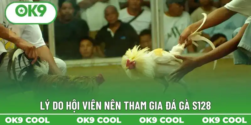 Lý do hội viên nên tham gia đá gà S128
